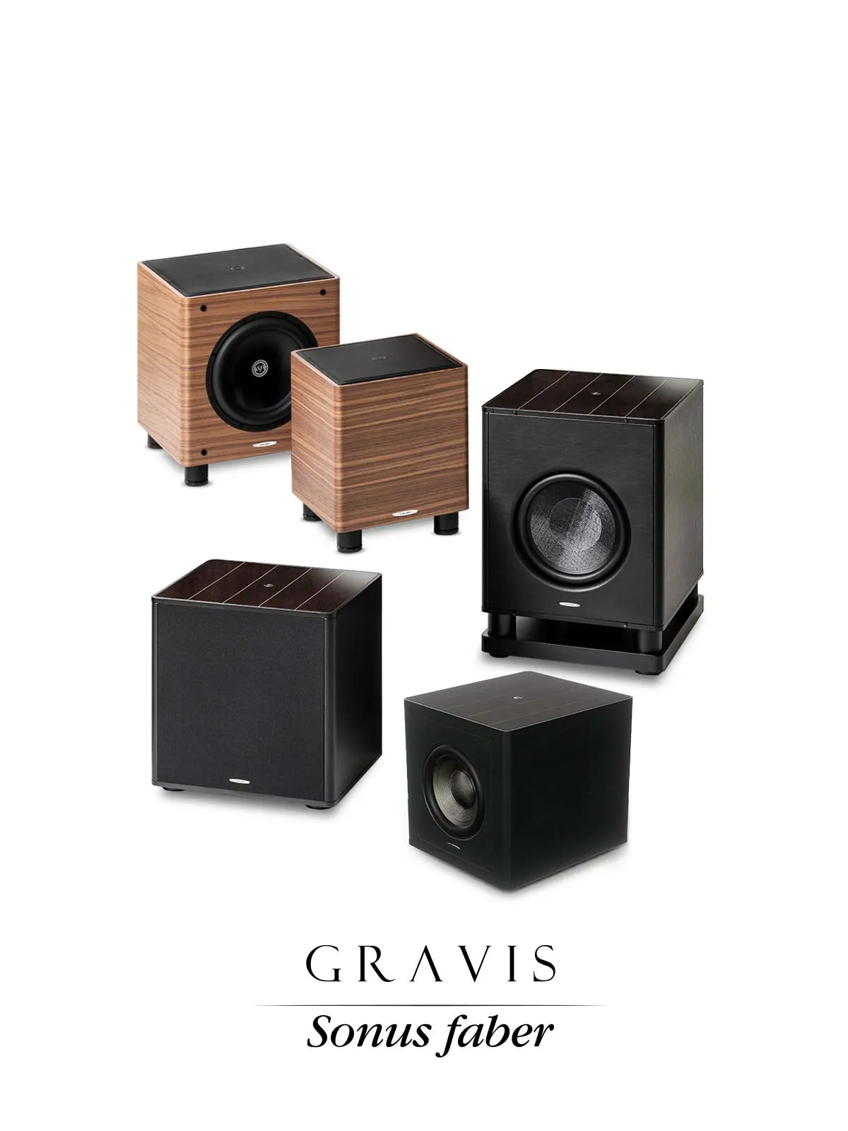 tessere gravis collection